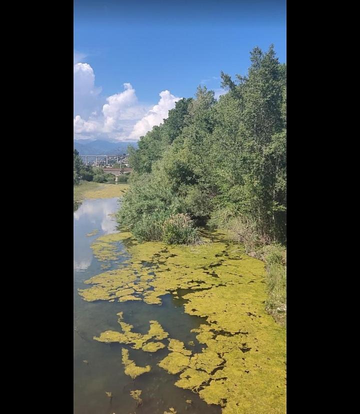 Casa Jasmine Hotel Camporosso  Kültér fotó